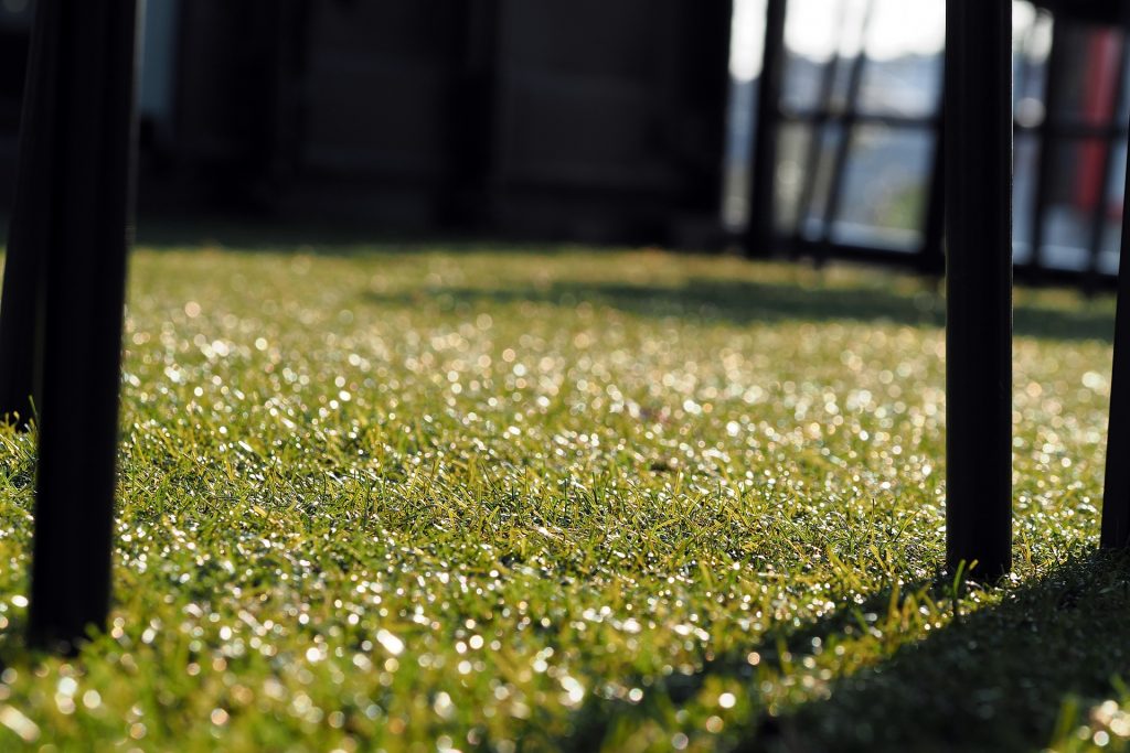 kunstgras in de tuin