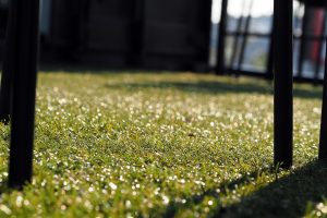 kunstgras in de tuin