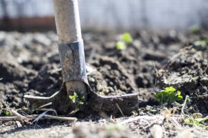 Moestuintje zelf maken