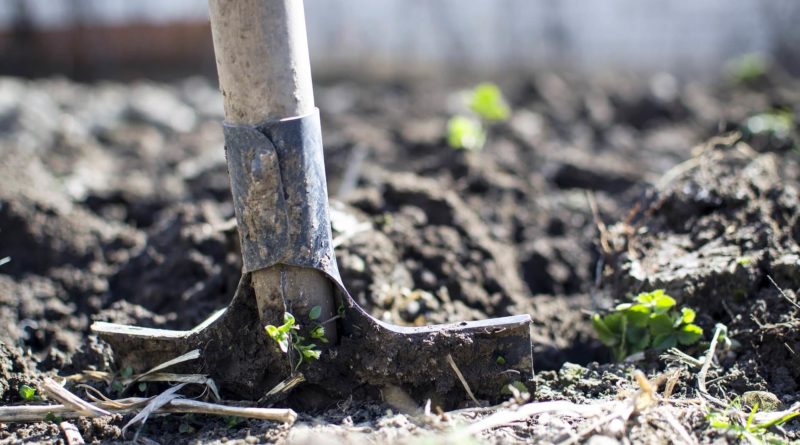 Moestuintje zelf maken