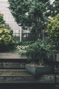 groene planten