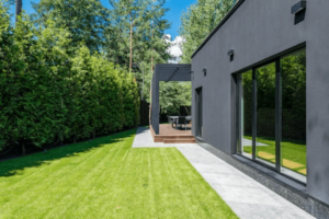 boombeschutting in moderne tuin