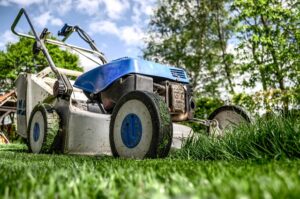 Onderhoud en verzorging van de tuin