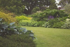 tuin